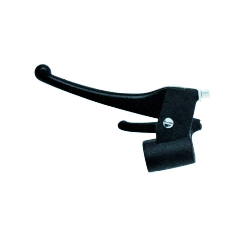 LEVER DUAL ASSY PIAGGIO - 06120526 | Dr Rider