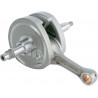 CRANKSHAFT LTR450 - 09210119 - Dr Rider