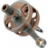 CRANKSHAFT CRF250 - 09210128 | Dr Rider