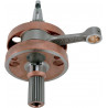 CRANKSHAFT CRF250X - 09210215 | Dr Rider