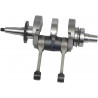 CRANKSHAFT KIT 4422 - 09210541 - Dr Rider