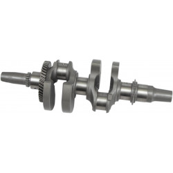 CRANKSHAFT KIT 4423-1 - 09210543 - Dr Rider