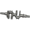 CRANKSHAFT KIT 4423-1 - 09210543 - Dr Rider