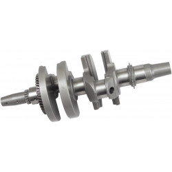 CRANKSHAFT KIT 4424-1 - 09210545 - Dr Rider