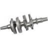 CRANKSHAFT KIT 4424-1 - 09210545 - Dr Rider
