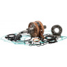 BOTTOM END KIT CBK0194 - 09210585 | Dr Rider