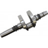CRANKSHAFT CAN AM - 09210885 - Dr Rider