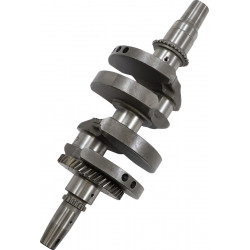 CRANKSHAFT POL RZR TURBO - 09210888 - Dr Rider