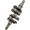 CRANKSHAFT POL RZR TURBO - 09210888 - Dr Rider
