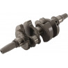 CRANKSHAFT HR00015 POLARIS - 09210956 - Dr Rider