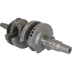 CRANKSHAFT POLARIS 1000 - 09210987 - Dr Rider