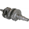 CRANKSHAFT POLARIS 1000 - 09210987 - Dr Rider