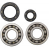 BEARINGS CRANK CR250 - 09240022 | Dr Rider