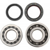 BEARINGS CRANK CRF450R - 09240023 | Dr Rider