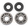 BEARINGS CRANK KX60-85 - 09240024 | Dr Rider