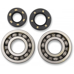 BEARINGS CRANK KX250 - 09240025 | Dr Rider