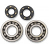 BEARINGS CRANK KX250 - 09240025 | Dr Rider