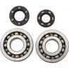 BEARINGS CRANK KX250 - 09240026 | Dr Rider
