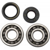 BEARINGS CRANK YZ125 - 09240032 | Dr Rider