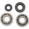 BEARINGS CRANK YZ250 - 09240034 | Dr Rider
