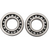 BEARINGS CRANK YZ250F - 09240035