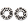 BEARINGS CRANK YFM660R - 09240045 - Dr Rider