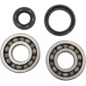 BEARINGS CRANK - 09240052 | Dr Rider
