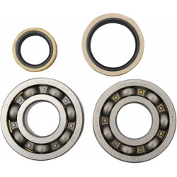 BEARINGS CRANK - 09240053 | Dr Rider