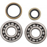 BEARINGS CRANK - 09240057 | Dr Rider