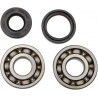 BEARINGS CRANK - 09240059 | Dr Rider