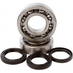 BEARINGS CRANK TRX450 - 09240114 - Dr Rider