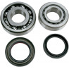 BEARINGS CRANK TRX450 - 09240115 - Dr Rider