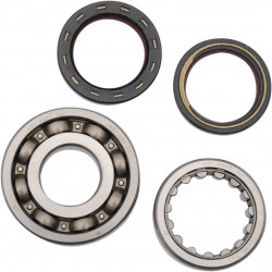 BEARINGS CRANK CRF250R - 09240116 | Dr Rider