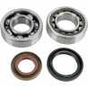 BEARINGS CRANK 85SX - 09240119 | Dr Rider