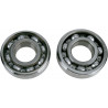 CRANKSHAFT BRG RMZ450 - 09240126