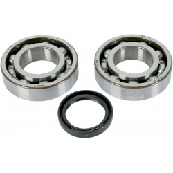 BEARING-CRANK KX250F - 09240160 | Dr Rider
