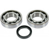 BEARING-CRANK KX250F - 09240160 | Dr Rider