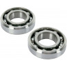 BEARING-CRANK RMZ250 - 09240165