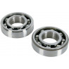 BEARING-CRANK KX450F - 09240166 | Dr Rider