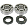 BEARING-CRANK YZ125 - 09240169 | Dr Rider