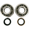 BEARING CRANK K057 - 09240213 | Dr Rider