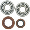 BEARING CRANK K064 - 09240231 | Dr Rider