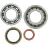 BEARING CRANK K066 - 09240233 | Dr Rider