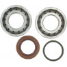 BEARING CRANK K067 - 09240234 | Dr Rider