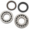 BEARING CRANK CRF450R - 09240247 | Dr Rider
