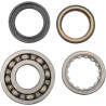 BEARING CRANK CRF250R/X - 09240248 | Dr Rider