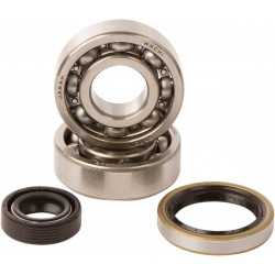 BEARINGS CRANK KTM 50SX - 09240286 | Dr Rider