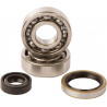 BEARINGS CRANK KTM 50SX - 09240286 | Dr Rider