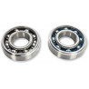 BEARINGS CRANK K091 - 09240400 | Dr Rider
