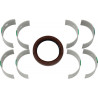 BEARING CRANK HR00024 - 09240598 - Dr Rider